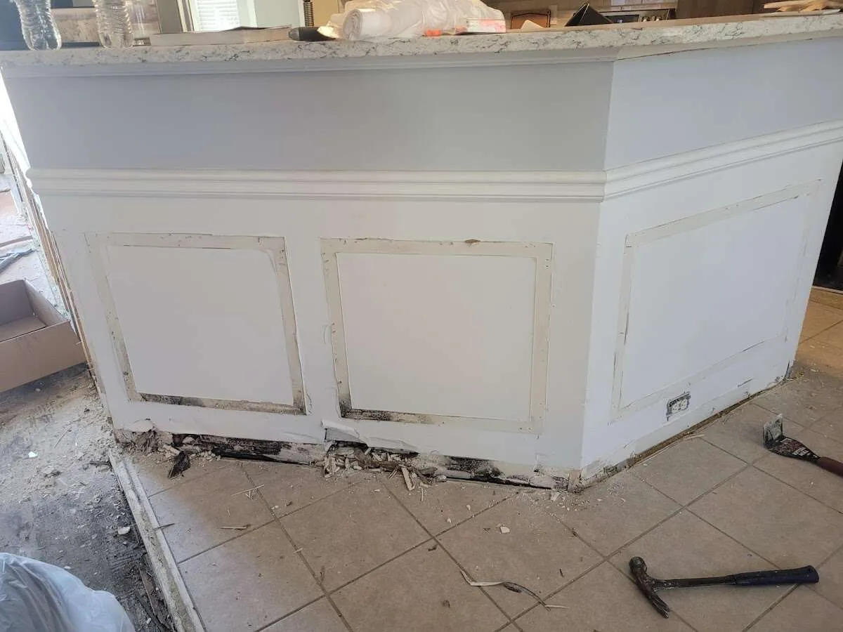Water damage and mold on kitchen during Sewage Cleanup & Sanitation in Wilmington